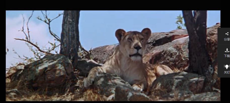 G8怀旧社区分享[美国]生来自由 Born Free (1966)【百度网盘】双语中字1.35G 第1张截图
