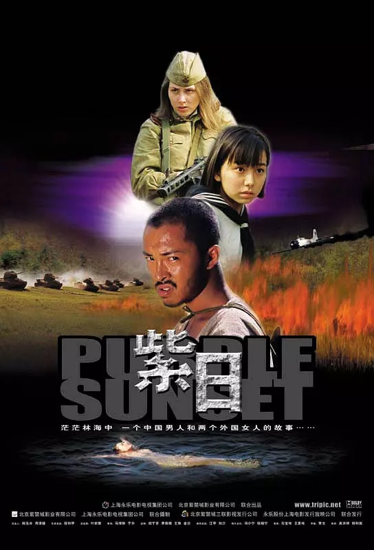 G8怀旧社区分享[国产][紫日][高清3.1G][1080P-MKV]2001年[国语中字幕][百度云网盘资源下载] 第1张截图