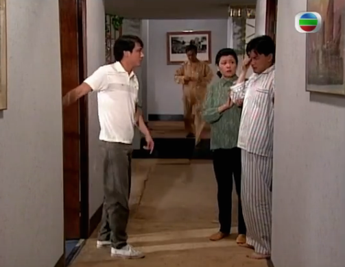 G8怀旧社区分享[香港][龙的天空][百度云网盘][高清TS]1992年共40集[国粤双语]单集850M 黎姿/吴镇宇 第3张截图