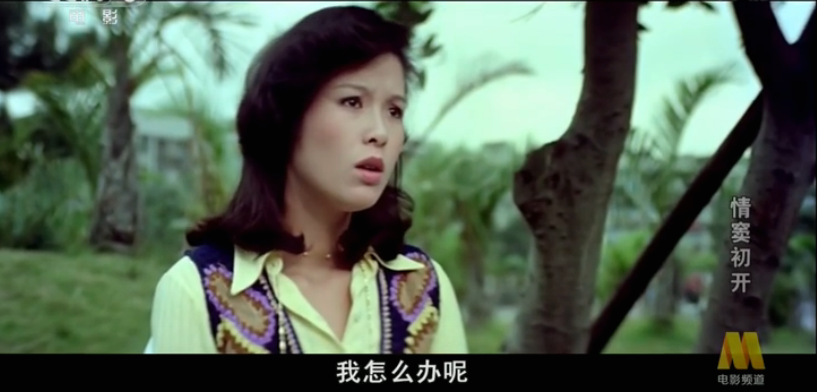 G8怀旧社区分享[台湾] [百度云]情窦初开(金门1978).CCTV_6HD.mp4，2.6G 第1张截图