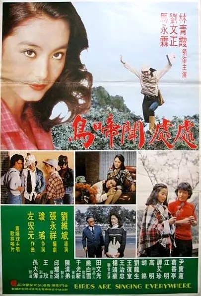G8怀旧社区分享[台湾][处处闻啼鸟][1978年][国语中字][百度网盘]【1080p高清修复版】【2.96G】 第1张截图