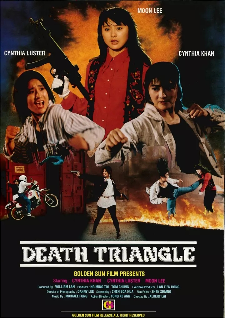 G8怀旧社区分享末路狂花.1992.杨丽菁、李赛凤、大岛由加利.CCTV6HD.720P 2.02G 第1张截图