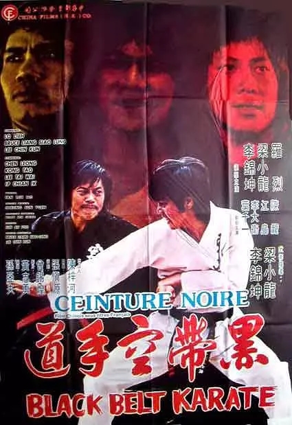 G8怀旧社区分享[香港][黑带空手道][百度网盘][MKV -1.13G]1977年[国语中字]梁小龙 / 罗烈 第1张截图