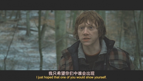 G8怀旧社区分享[美国][哈利·波特与死亡圣器(上)][百度网盘][1080P-MKV-5.08G]2010[中英双字无水印] 第1张截图