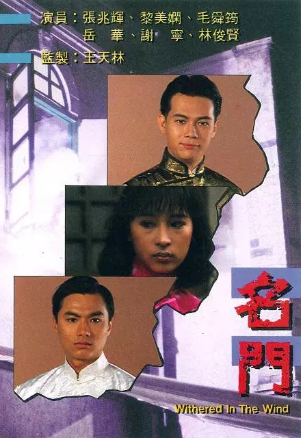 G8怀旧社区分享[香港][名门][TVB][百度云网盘][MKV 27集全]1988年[国语无字]单集800M 张兆辉 第1张截图