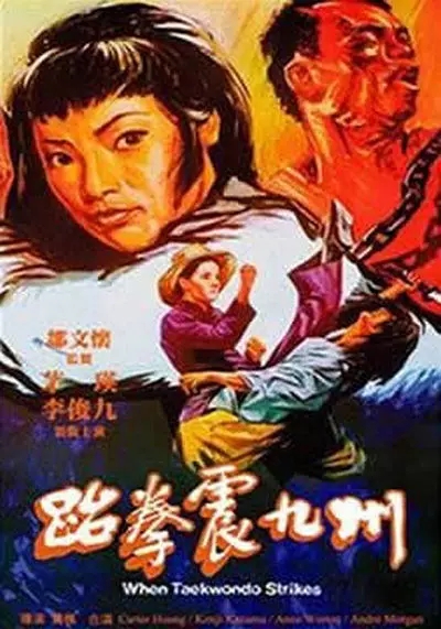 G8怀旧社区分享[香港][跆拳震九州][1973][茅瑛 / 黄家达][国语中字][1080P-MKV/2.13G] 第1张截图