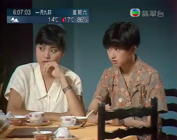 G8怀旧社区分享[百度云][香港][1989][公私三文治][76集][粤语无字][rmvb/每集约90m]小格式分享 第2张截图