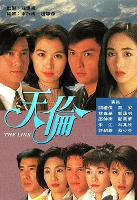 G8怀旧社区分享[香港][天伦][720P高清MP4/33.9G/每集870M]1993年[国语中字幕][百度云网盘资源下载] 第1张截图