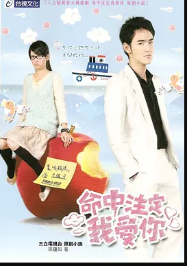 G8怀旧社区分享[台湾][命中注定我爱你][陈乔恩/阮经天][DVD原盘ISO+MKV/540P][高清/12.46G/每集700M]2008年[国语中字幕][百度云网盘资源下 第1张截图