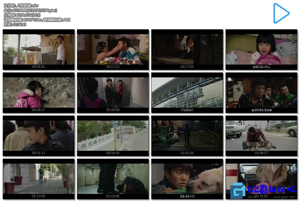 人狗奇缘(3).jpg 人狗奇缘(3).jpg