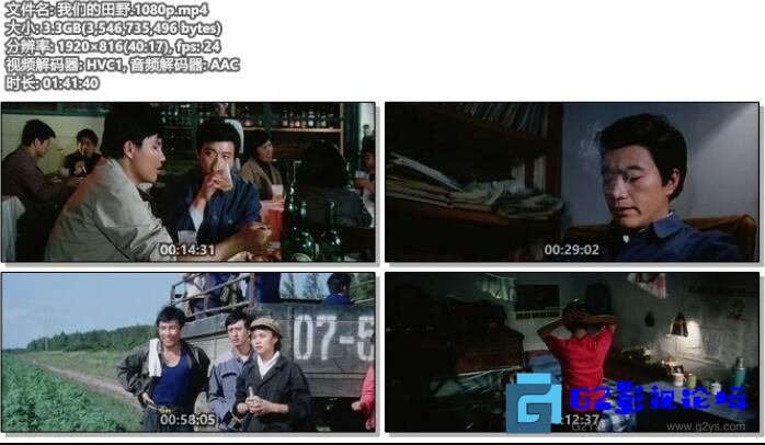 G8怀旧社区分享[我们的田野][1983][周里京 / 张静 / 雷汉 / 林芳兵][国语外挂中英双字][mp4/3.3G+12.1G/WEB-DL 1080P高码+4K高码. 第1张截图