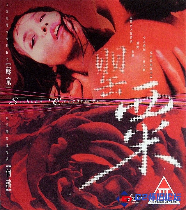 G8怀旧社区分享[香港电影][顺流逆流][百度网盘][1994][mkv/1.63GB][根据作家苏童小说《罂粟之家》改编/镜头绚丽，画面唯美、情节飘忽] 第1张截图