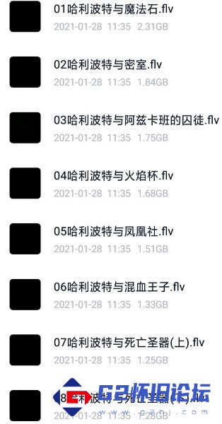 G8怀旧社区分享[魔幻] 【百度云】【1080p】【1G–2.5G之内】哈利波特全八部【FLV】【b站图标版】 第1张截图