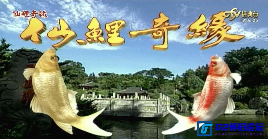 G8怀旧社区分享[台湾剧][仙鲤奇缘][2002][百度网盘][国语繁字][TS单集约6.3G][32集][张玉嬿/倪齐民/王道扬/王渝文/陈志朋/陈怡真] 第1张截图