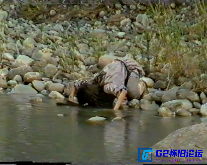 G8怀旧社区分享[望娘滩]（又名孽龙传说）[1989][mp4-6.1g][720P][国语无字] 第3张截图