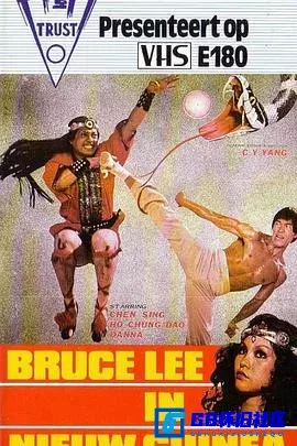G8怀旧社区分享[蛇珠][百度网盘下载][香港怀旧电影][国语.Bruce.Lee.in.New.Guinea.1978.LDVDRip.HALFCD.nosub-edit110.mkv.600M][1978] 第1张截图