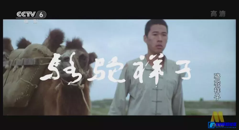 G8怀旧社区分享[骆驼祥子][百度网盘下载][国产怀旧电影][1080p.CCTV-6.mp4.3.15G][1982][张丰毅 / 斯琴高娃] 第7张截图