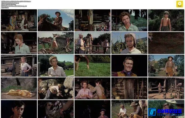 G8怀旧社区分享[老黄狗 Old Yeller][百度网盘下载][美国怀旧电影][720P][蓝光-MKV/2.43G][英语中文字幕][1958] 第6张截图