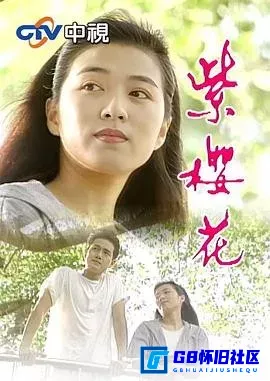 G8怀旧社区分享[紫樱花 紫櫻花][百度网盘下载][台湾怀旧电影][国语繁字MP4总3.54G中视重播版][1993][方文琳/沈孟生] 第1张截图