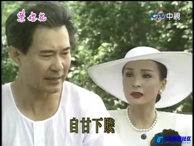 G8怀旧社区分享[紫樱花 紫櫻花][百度网盘下载][台湾怀旧电影][国语繁字MP4总3.54G中视重播版][1993][方文琳/沈孟生] 第6张截图