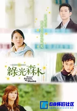 G8怀旧社区分享[绿光森林][百度网盘下载][台湾怀旧剧][全集23全][国语中字][10DVD5/ISO/42G][高清原盘镜像][2005] 第1张截图