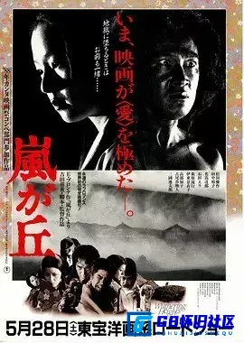 G8怀旧社区分享[日本][1988][呼啸山庄][日语外挂中字][avi / 1.36GB][剧情 / 爱情][百度云] 第1张截图