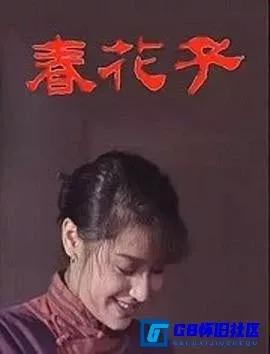 G8怀旧社区分享[春花子][百度网盘下载][国产怀旧剧][480P全集14全每集约500多M][1996][宋茹惠 / 刘岩 / 董丹军 / 姜涛 / 张明健] 第1张截图