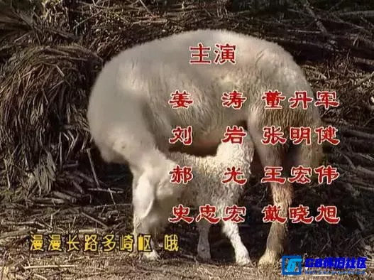 G8怀旧社区分享[春花子][百度网盘下载][国产怀旧剧][480P全集14全每集约500多M][1996][宋茹惠 / 刘岩 / 董丹军 / 姜涛 / 张明健] 第6张截图