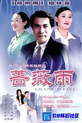 G8怀旧社区分享[蔷薇雨][百度网盘下载][国产怀旧剧][国语720P全集28全每集约2G多][1998][吴冕 / 廖京生] 第1张截图