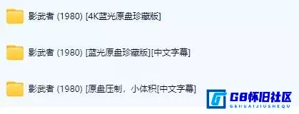 G8怀旧社区分享[影武者][百度网盘下载][日本 / 美国怀旧电影][4K蓝光原盘珍藏版SDR中文字幕大小约31.44G附带另外两个版本][1980] 第6张截图