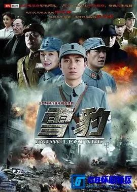 G8怀旧社区分享[雪豹][百度网盘下载][国产怀旧剧][1080i HDTV MPEG2 豆评8.3广东卫视台标全集40全每集约4.84G][2010] 第1张截图
