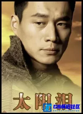 G8怀旧社区分享[太阳泪][百度网盘下载][国产怀旧剧][国语中字][66集] [mp4/1080p/每集约1.45G] [1993][丁海峰 / 傅羽嘉 / 李大强] 第1张截图