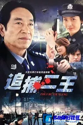 G8怀旧社区分享[追捕二王][百度网盘下载][国产怀旧剧][国语中字][20集][mp4/480p/每集约210M]][1994][王奎荣 / 陈娜 / 张冰] 第1张截图