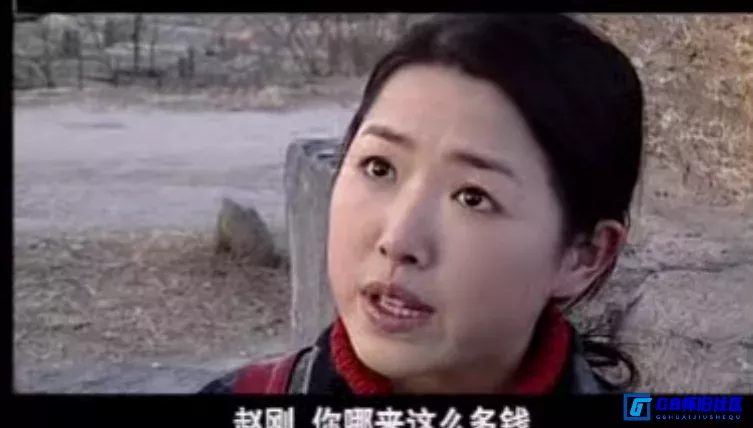 G8怀旧社区分享[追捕二王][百度网盘下载][国产怀旧剧][国语中字][20集][mp4/480p/每集约210M]][1994][王奎荣 / 陈娜 / 张冰] 第6张截图