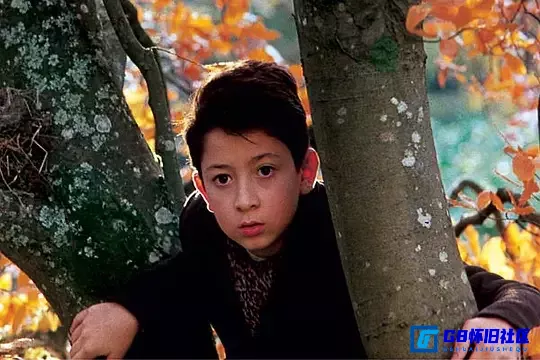 G8怀旧社区分享【欧美】逃出法兰西 / (2002) 【百度云】[德国] 720px264 2Audio [国法双语]  1.13G 第3张截图