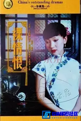 G8怀旧社区分享[裸情恨][百度网盘/115][国产怀旧剧][20集全/480P/每集约1.1G][1995][王昌娥 / 张月 / 丁鹂 / 邓晓光 / 黄慧颐] 第4张截图