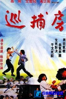 G8怀旧社区分享[巡捕房][百度网盘下载][香港怀旧电影][录像厅经典 绝版修复][1980][普通话无字幕[CHC.RIPTV无水印/MKV-1.26GB] 第1张截图
