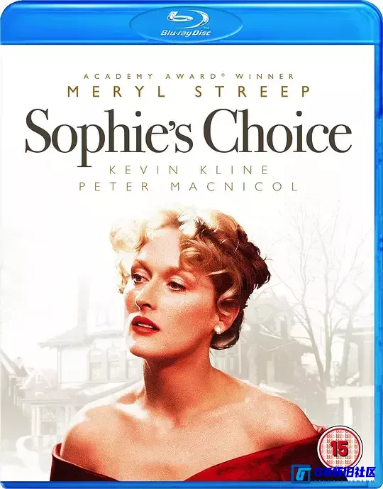 G8怀旧社区分享【欧美】 苏菲的抉择 Sophie's Choice (1982) 【百度云】 [美国] 1080px264【国语】 mkv  3.08G 第1张截图