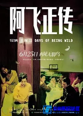 G8怀旧社区分享[阿飞正传][百度网盘下载][香港怀旧电影][无水印][国粤双语][MKV/3.00G][1990][张国荣 / 张曼玉 / 刘德华 / 刘嘉玲 / 潘迪华] 第1张截图