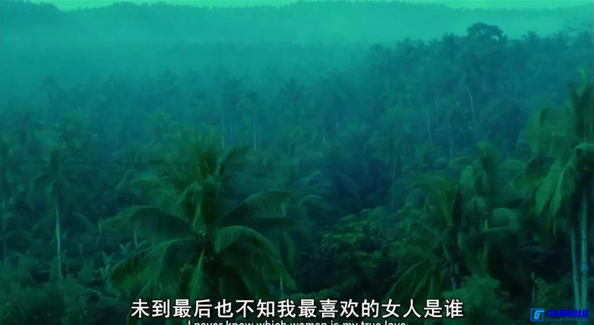 G8怀旧社区分享[阿飞正传][百度网盘下载][香港怀旧电影][无水印][国粤双语][MKV/3.00G][1990][张国荣 / 张曼玉 / 刘德华 / 刘嘉玲 / 潘迪华] 第6张截图