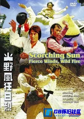 G8怀旧社区分享[烈日狂风野火][百度网盘下载][香港怀旧电影][国语][720P/mkv/2.9G][1978][田鹏 / 茅瑛 / 龙君儿 / 罗烈 / 谭道良] 第1张截图