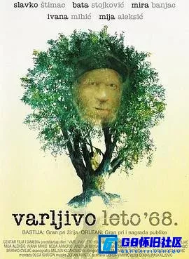 G8怀旧社区分享[1968年困惑的夏天][百度网盘下载][南斯拉夫怀旧电影][外语中字.mkv.693M.640P][1984] 第1张截图