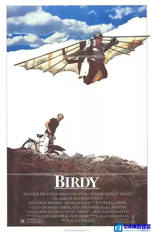 G8怀旧社区分享【欧美】 鸟人 Birdy (1984) 1080px264【百度云】[美国] 【国英双语】 mkv  2.48G 第1张截图