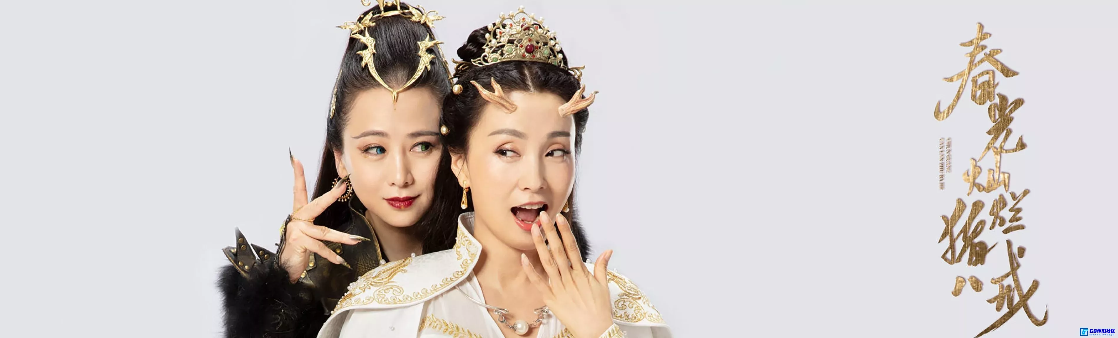 G8怀旧社区分享猪八戒三部曲【春光灿烂猪八戒-福星高照猪八戒-喜气洋洋猪八戒】8个不同分辨率版本自行选择收藏 第1张截图