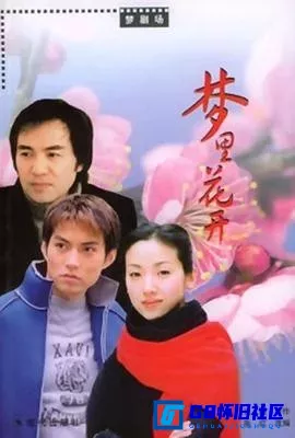 G8怀旧社区分享[梦里花开][百度网盘下载][国产怀旧剧][全20集/MP4/单集400M][2004][严屹宽 / 吴倩莲 / 童安格] 第1张截图