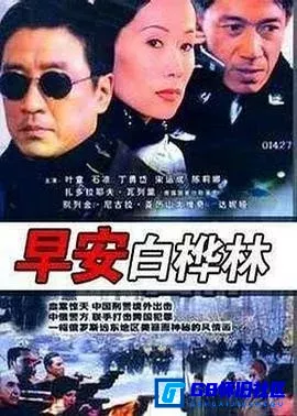 G8怀旧社区分享[早安白桦林][百度网盘下载][国产怀旧剧][全集20全每集约216M][2005][叶童 / 丁永岱 / 陈丽娜 / 宋运成 / 杜月刚] 第1张截图