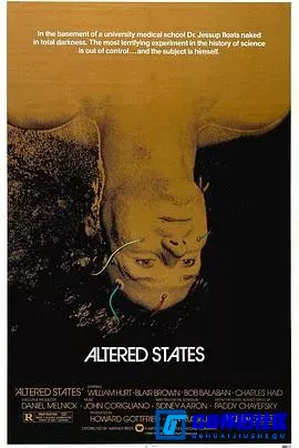 G8怀旧社区分享[灵魂大搜索][百度网盘下载][美国怀旧电影][4K HDR中文字幕 杜比视界原盘REMUX 珍藏版][1980] 第1张截图