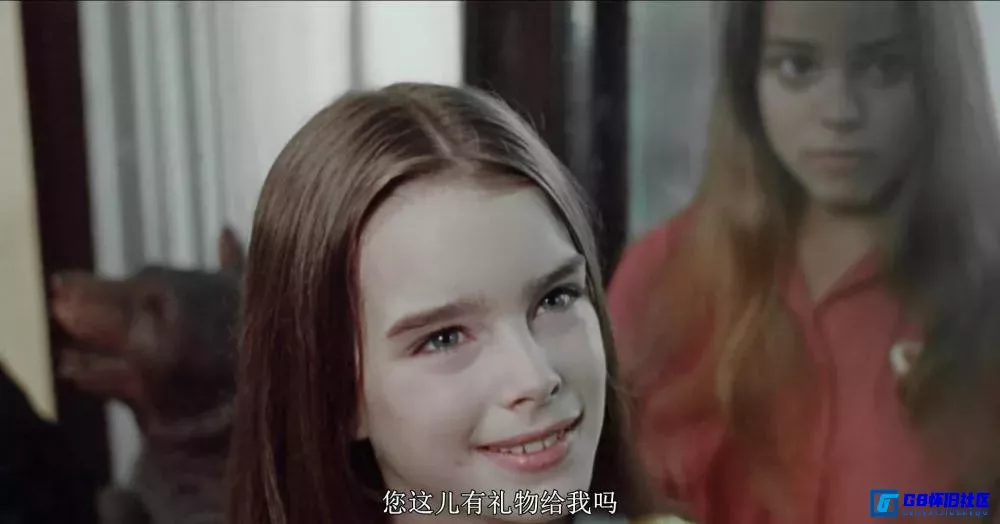 G8怀旧社区分享[甜美爱丽丝][百度网盘下载][美国怀旧电影][1080P][中字大小约2.04G][1976] 第6张截图