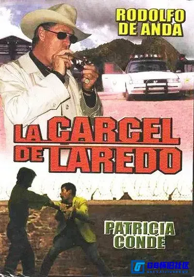 G8怀旧社区分享【欧美】 L 雷多-y (1985)【百度云】[墨西哥]  DVDripx264 【国语】 1.37G 第1张截图