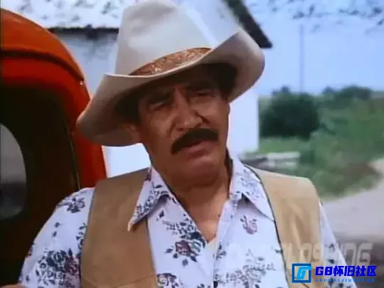 G8怀旧社区分享【欧美】 L 雷多-y (1985)【百度云】[墨西哥]  DVDripx264 【国语】 1.37G 第4张截图